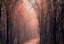 开运体育官网入口-鹈鹕后场新秀逐渐崭露头角，成为球队未来核心之一