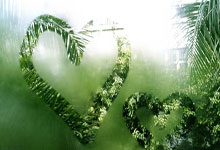 开运体育直播-澳大利亚射击队逆袭夺铜，挥洒汗水为荣誉而战！