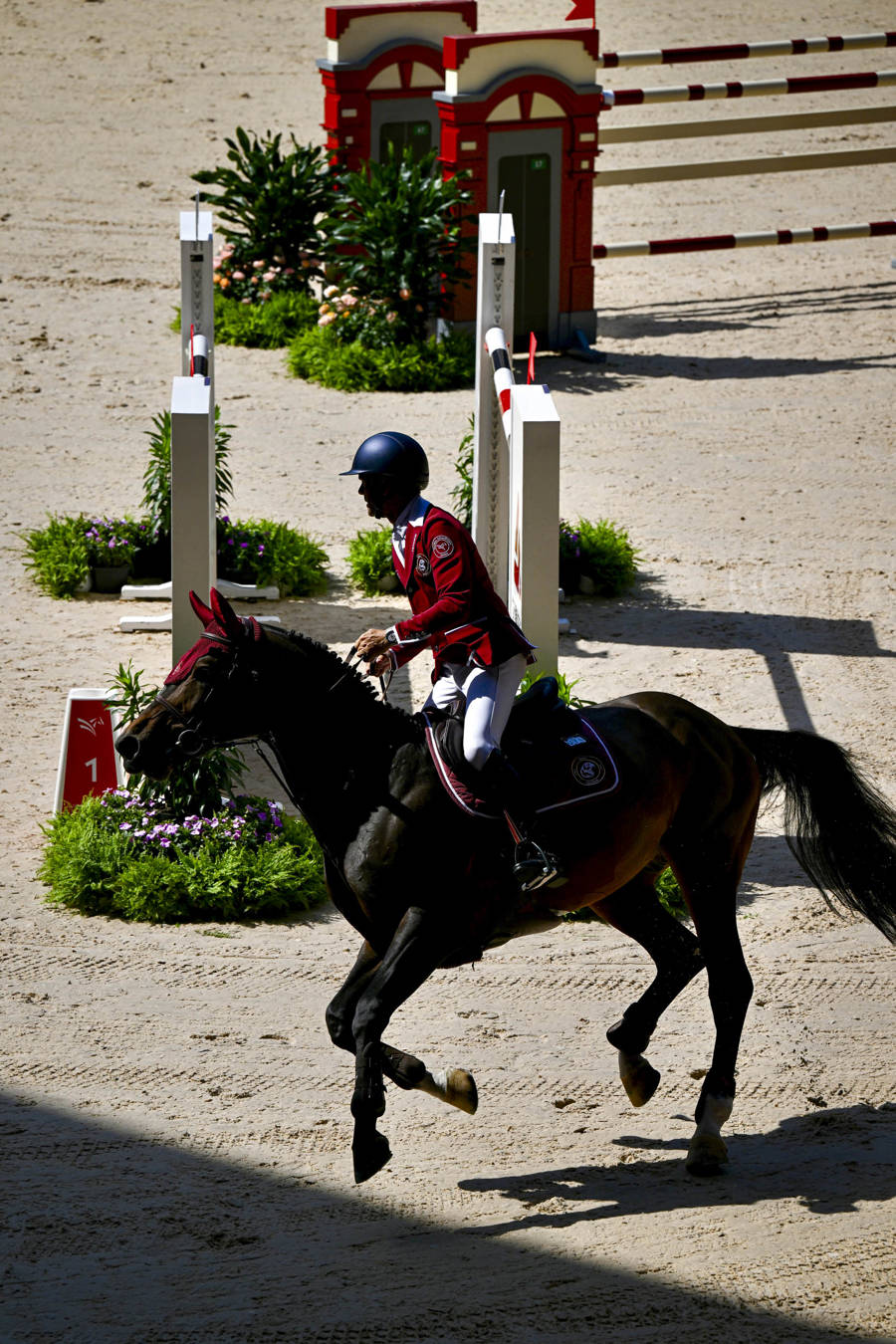 新西兰选手获得马术比赛金牌 新西兰选手获得马术比赛金牌